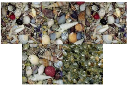 Fig. 5 Top left is the Query image and all other are the retrieved images for the Query 
