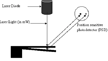Figure 1: Different types of microcantilevers (top view) (a) Rectangular (b) Double-legged (c) Triangular