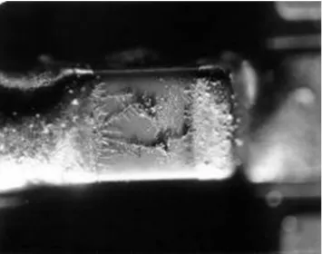 Figure 4 – Formations of tin/lead Dendrites on a SMD Capacitor (Delphi, 2005) 