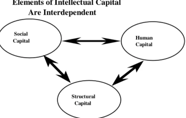 Figure 3: Elements of Intellectual Capital  Except in unusual cases, developing one element of  intellectual capital will be inadequate because, ultimately, the  interaction of structural, human, and social capital determines the  value of management’s inv