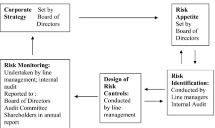 Figure 2 The strategy: risk management control loop  