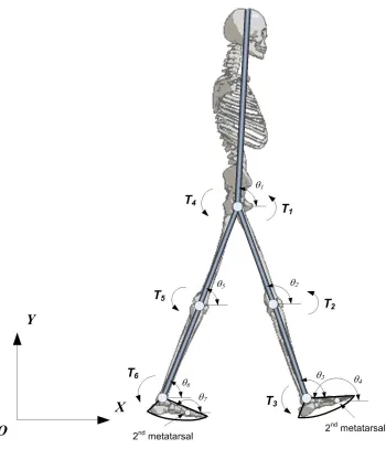 Figures and Captions 