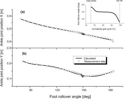 Figure 3  Mathematical representation of ankle-foot kinematics during stance phase, 