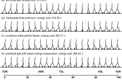 Figure 5  Some typical gait patterns (local minima) found during the random 