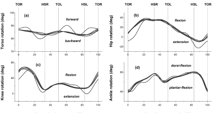 Figure 6  Predicted rotations of the trunk (a), right hip (b), right knee (c) and right 