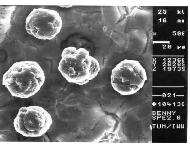 Fig. 1b 