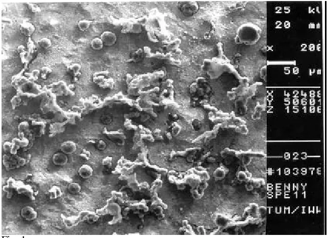 Fig. 1c 