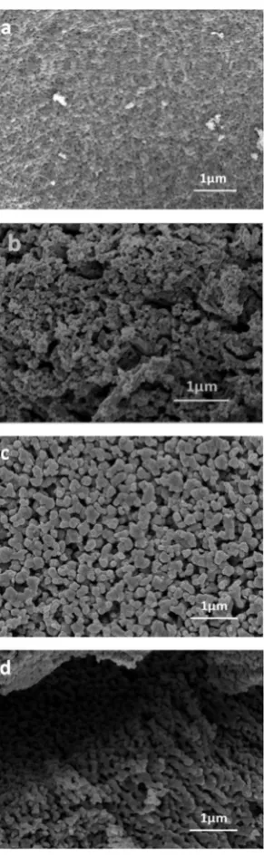 Fig. 4Micrographs of Latemperatures: (a) 9000.2Sr0.25Ca0.45TiO3 powders after calcination at various �C (S1); (b) 900 �C (S2); (c) 1000 �C (S3) and (c) 1100 �C (S4).