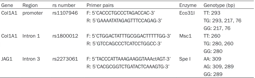 Table 1. Single nucleotide polymorphisms (SNPs) investigated in this study and PCR primers for the genotyping of COL1A1 and JAG1