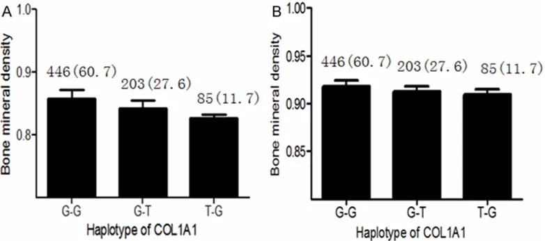 Figure 1. Bone mineral density in postmenopausal Chinese women in different haplotypes of the COL1A1gene