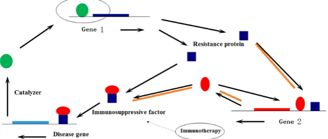 Figure 2. Path planning problem of the gene regulatory network. 