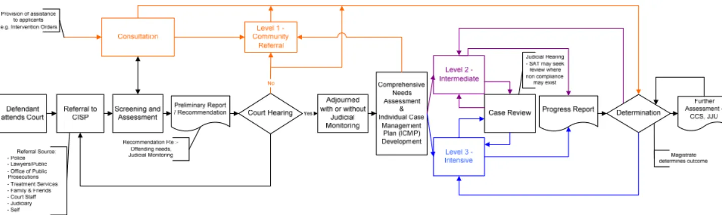 Figure 2.1  CISP Process Map (March 2005) 2
