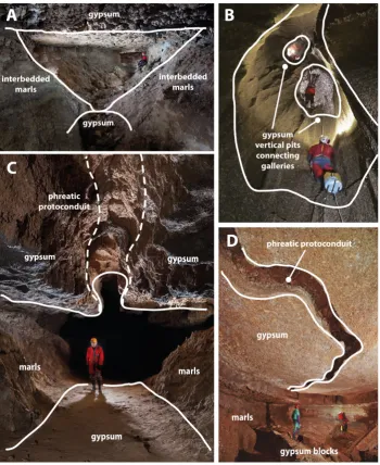 Fig. 2. Interstratification galleries in the Covadura Cave and other interstratal cave systems in the gypsum karst of Sorbas