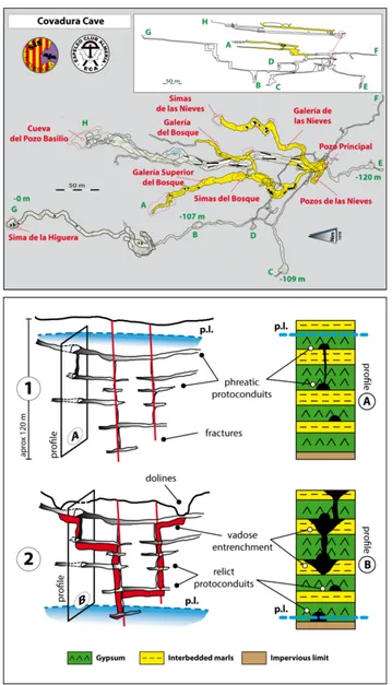 Fig. 3. Evolution of the interstratal gypsum karst, using the example of Covadura Cave