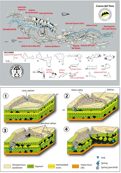 Fig. 5. Evolution of a fluvio-karstic cave, using the example of the Barranco del Infierno (known as Cueva del Yeso)