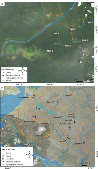 Figure 1. Hydrographic map of the study area showing sampling stations. Yabassi (a); Douala (b)