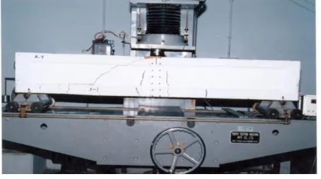 Fig VIII:  Baked Clay Rectangular beam tested by applying point load   with roller supports