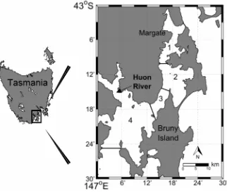 Figure 1. Map of the D’Entrecasteaux Channel. Numbers represent the Areas referred to throughout the manuscript.doi:10.1371/journal.pone.0085895.g001