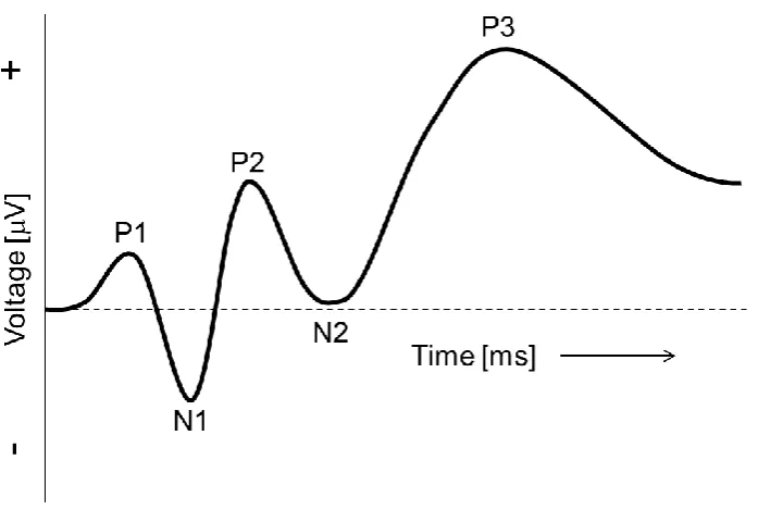 Figure 4: Idealised representation of the ordinal position of ERP components within the 