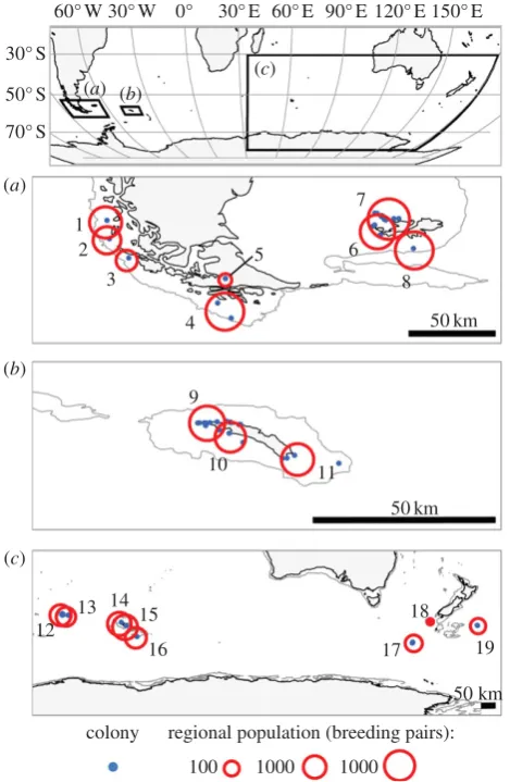 Figure 1. Location and size of black-browed albatross colonies. All knownspond to those in the 100 km column; electronic supplementary material,colonies (n ¼ 48) were grouped into regional populations by cluster analysissuch that the maximum distance by se