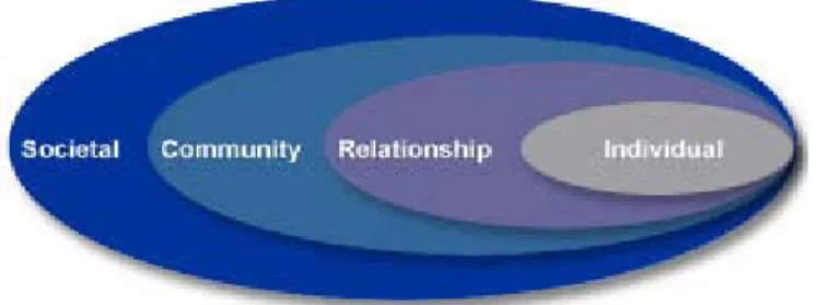 Figure 1: Social-Ecological Model 1