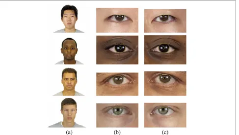 Fig. 8 Some examples of correct iris segmentation. Rows: Asian, Black, Latino and White ethnicity, respectively