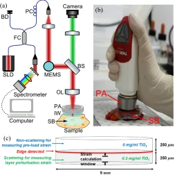 Fig. 1. Handheld QME probe. (a) Schematic of the experimental setup. SLD, superluminescent diode