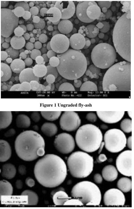 Figure 1 Ungraded fly-ash 