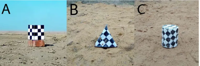 Fig. 1. Photos of the objects. A — cube, B — tetrahedron, В — cylinder