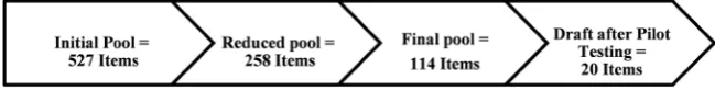 Table 5. Description of items in the final pool (after expert panel review and focus group)