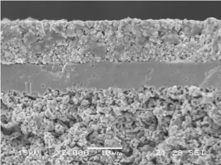 Figure 3 the durability test of the cell operating in hydrogen or biogas       Figure 3 presents the durability test of the cell running in hydrogen or biogas at 
