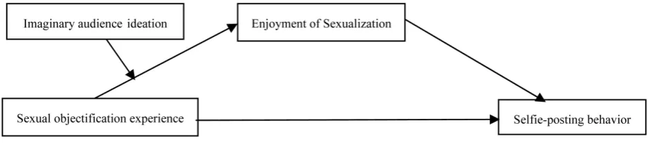 Figure 1. Hypothesis framework of this study. 