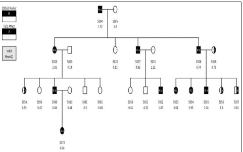 Figure 4 Subset of pedigree 5 Segment of pedigree 5 showing the cosegregation at C8S775 and C13S434.