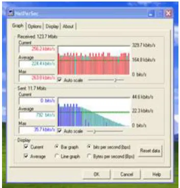 Figure  6. Snapshot of decoded video  