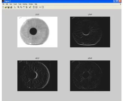 Figure 3. (e) Original image 