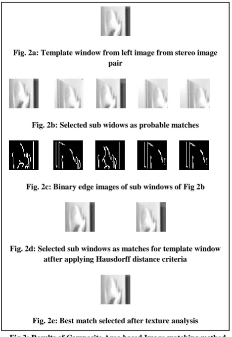 Fig. 2a: Template window from left image from stereo image  pair 