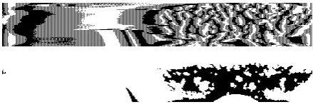 Fig. 6 Iris Template (top). Mask of the iris template (bottom). 