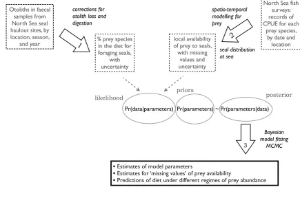 Figure 1: Steps in the modelling carried out for this paper. Step 1: faecal (scat) 