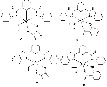 Figure 1. [Cu(L) (C2O4) (H2O)] (A), [Cu(L) (A.A) (H2O)] (B), [Co(L) (C2O4) (H2O)] (C) and [Co(L) (A.A) (H2O)] (D) 