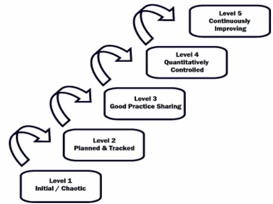 Figure 1 – SPICE maturity levels (Sarshar et al, 1998) 