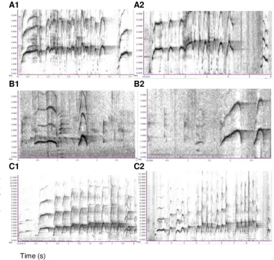 Figure 5. Spectrographic illustrations of contest hoot calls produced during the challenge (1) and play (2) contexts