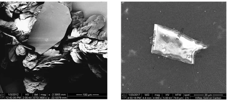 Figure 7. (a) The FE-SEM image (TS-1), (b) The FE-SEM image (TS-2)