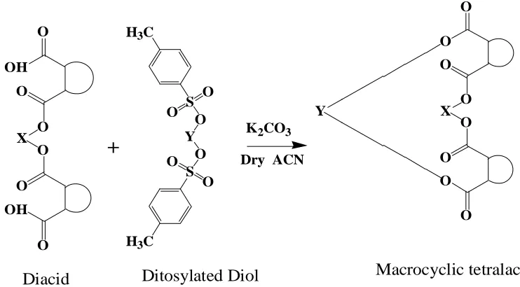 Table 2. Syntheses of Macro cyclic tetra lactones with various diacids and Ditosylated diols 