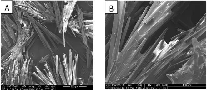 Figure 1. FE-SEM images of (A) and (B) the Cu2+ complex, self-assembled at room temperature on  complexation with metal ions 