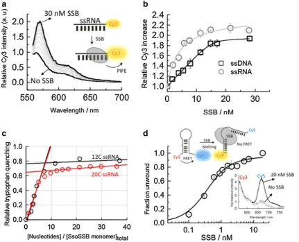 Fig. 2  Ensemble-fluorescence characterization of the fluorescence spectrum in the absence of ometry of the tophan emission quenching