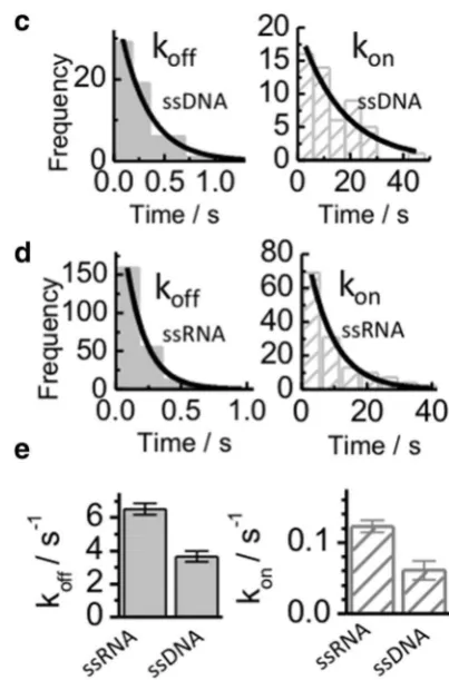 Fig. 3  Single-molecule comparison of the interaction between 12-mer ssDNA (Alexa647 labelled SsoSSB monomers and surface-immobilized a) and 12 mer ssRNA (b) labelled with Cy3