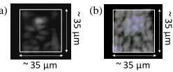 Fig. 4  Experimental results of the -3 dB bandwidth for the 105.5 cm long spiral polymer multimode waveguides and respective normalised received power for a 50/125 µm MMF input with and without the MM: (a) GI waveguide, no MM (b) GI waveguide, MM (λ = 850 