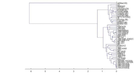 Figure 1: Phylogenetic tree of 30 mammalian genomes by two-base method 