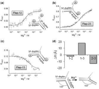Figure 1. Conformational changes on the double-ﬂap DNA structure induced by the addition of Mgdistance (AExperiments were performed in triplicate and error bars represent the SEM