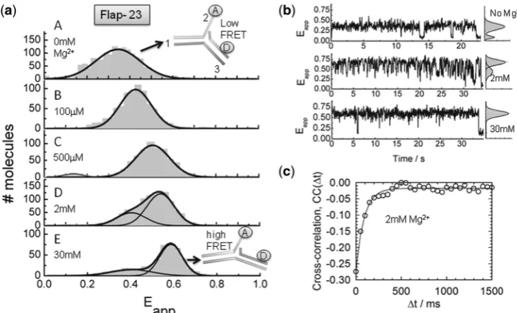 Figure 2. Structural transitions in the Flap-23 substrate studied by sm-FRET. (molecules in the absence (panel A) and presence of increasing Mgcontributions from ﬂuorophore blinking and photobleaching